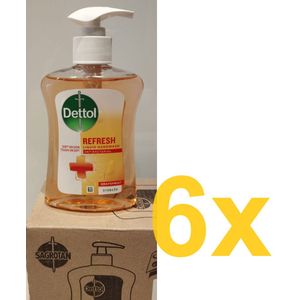 6x 250 ml Dettol handzeep Grapefruit