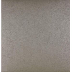 Dutch Wallcoverings Uni - Zilver
