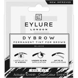 Eylure Dybrow Permanent Tint Kit For Brows