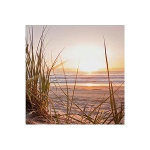 Art for the Home | Zonsondergang Duinen - Buitencanvas - 50x50 cm