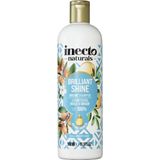 Inecto - Argan Shampoo - 500 ml