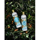 Inecto - Argan Shampoo - 500 ml
