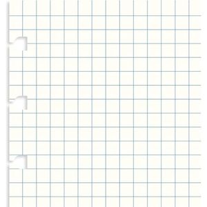Filofax Navulling Pocket Ruit 14 X 9 Cm Papier Wit 32 Stuks