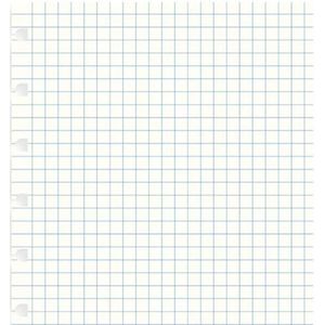 Filofax Notitieboek Navulling Geruit A4 Papier Wit 32 Stuks