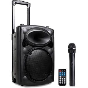 Qtx QR10PABT Mobiele Bluetooth Luidspreker - 500W - USB/SD/VHF