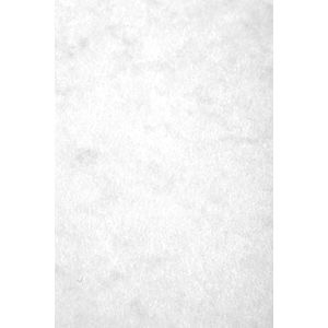 Clairefontaine - Ref 3181Z - Europa gekleurde kaart (Pack van 50 vellen) - A4 (297 x 210mm) formaat, 265gsm, 300 micron gevlekt persbord, zuurvrij - witte kleur