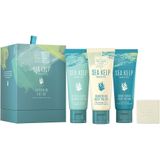 Scottish Fine Soaps - Sea Kelp Marine Spa Luxurious Zeep