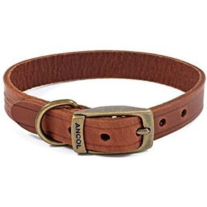 ANCOL Latigo Kraag Kastanje 20-26cm Maat 1
