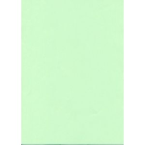 OUR CHOICE fotokopieerpapier Papier SPLS A4 80g groen/pak 500v