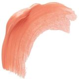 Barry M - Fresh Face - Vloeibare Blush en Lipgloss Tint - Peach Glow - 10 ml