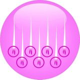 Rio - IPHR2 - Laserontharing - Wit/Beige - Intense Pulsed Light Haarverwijdering