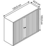 Bisley Basic Roldeurkast 2 Legborden 103 x 120 x 43 cm Zwart
