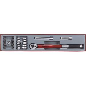 TengTools TTX3892 Momentsleutel 3/8 +opsteeksl +acc.Tx-Tray 22dlg