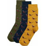 Barbour - Pheasant Socks Gift Box - Huissokken - Forest Mist - 3 Paar