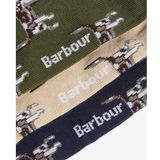 Barbour - Pointer Dog Socks Gift Box - Huissokken - Forest Mist - Luxe Geschenkverpakking