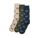 Barbour - Pointer Dog Socks Gift Box - Huissokken - Forest Mist - Luxe Geschenkverpakking