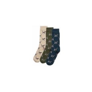 Barbour - Pointer Dog Socks Gift Box - Huissokken - Forest Mist - Luxe Geschenkverpakking