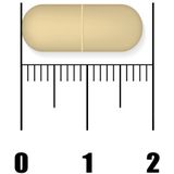 New Nordic Active liver 30 tabletten