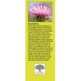 New Nordic Active liver 60 Tabletten