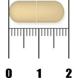 New Nordic Active Liver - 30 tabletten