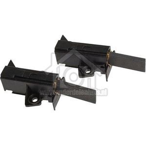 AEG Koolborstel in houder (L) 5x 12,5 PM motor houder= 46mm klem= 5mm 8996454255689