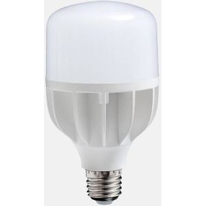 Daylight Daglicht lamp led 18W E27