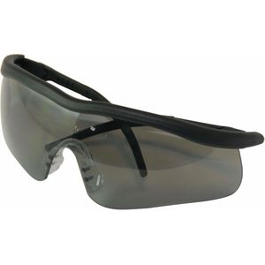 Silverline Veiligheidsbril met Getinte Brillenglazen