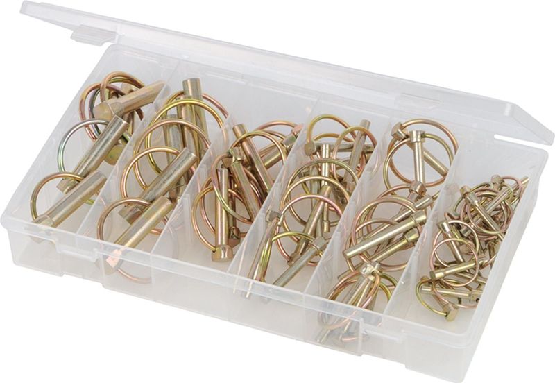 Fixman Assortimentsbox borgpennen - roestvrij - zelfvergrendelend - 50-delig