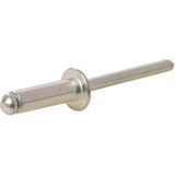 Fixman Klinknagel assortiment - 650 delig - aluminium en zink - diverse maten - met opbergkoffer