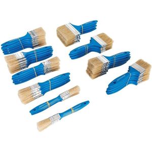Silverline Wegwerp schilderskwasten set - 50 delig - diverse maten - ideaal voor fijn verfwerk en schoonmaak
