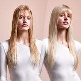 Airstrait Jasper Plum - Haarstyler - Kleur Plum - Materiaal Kunststof