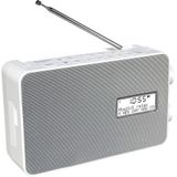 Panasonic - RF-D30BT - Radio - Zilver - Grijs