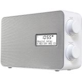 Panasonic - RF-D30BT - Radio - Zilver - Grijs