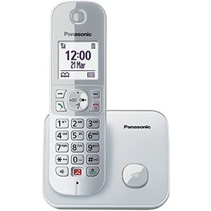 Panasonic KX-TG6851GS draadloze telefoon (tot 1.000 telefoonnummers vergrendelen, overzichtelijk letterformaat, luide hoorn, volledige duplex handsfree bellen, parelzilver