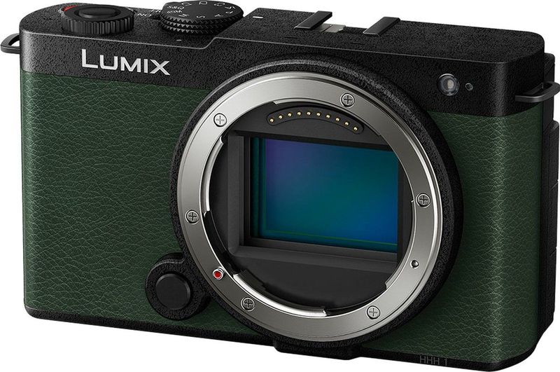 Panasonic - Lumix DC-S9 - Compactcamera - Full-Frame - Zwart