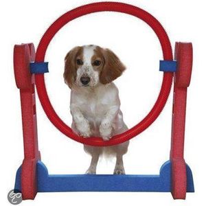 KLEINE HOND AGILITY HOOP
