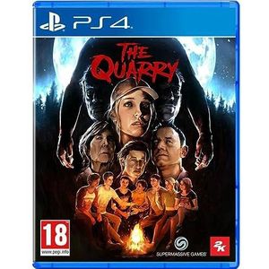 PlayStation 4-videogame 2K GAMES The Quarry