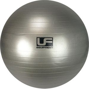 Urban Fitness Fitnessbal 75 Cm Pvc Zilver