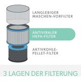 Leitz Ersatz-AktivkohlefilterAllergie für TruSens Luftreiniger Z-3000/