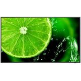 Nec Multisync E438 43´´ Uhd Led Monitor - 4k Ultrahd - Ips