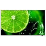 NEC - MultiSync E558 - LCD Display - 55 inch - 4K UHD - Zwart