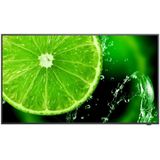 NEC - MultiSync E658 - 65" Display - Zwart - Professionele Monitor