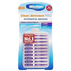 Wijsheid schoon tussen Pro interdentale borstels groot
