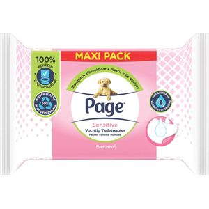 Page - Vochtig Toiletpapier - Maxi Pack - 76 Stuks