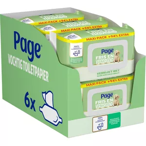 Voordeelpak 96 rollen Scottex toiletpapier