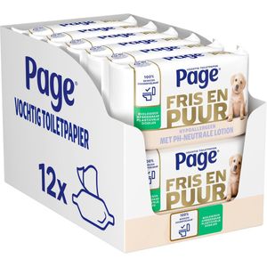 Page Puur vochtig toiletpapier - extra duurzaam vochtig wc papier - 456 doekjes (12 x 38 stuks)