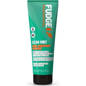 Fudge - Clean Mint Shampoo - 250 ml