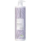 Wunderbar Color Protection Silver Shampoo