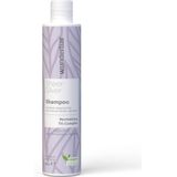 Wunderbar Color Protection Silver Shampoo