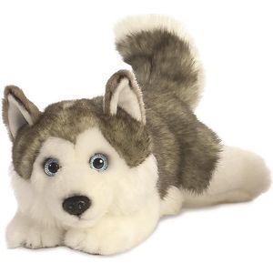 Aurora Knuffel Husky Junior 28 Cm Pluche Grijs/Wit